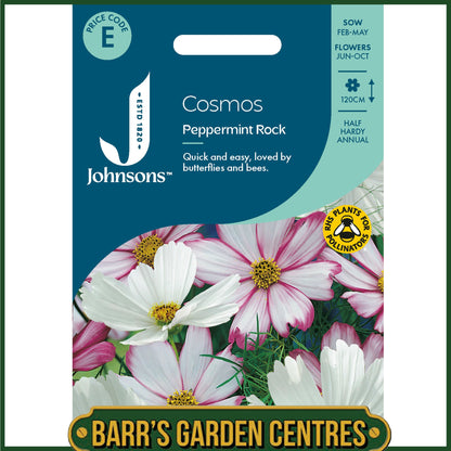 Johnsons - Cosmos Peppermint Rock - 100 Seeds