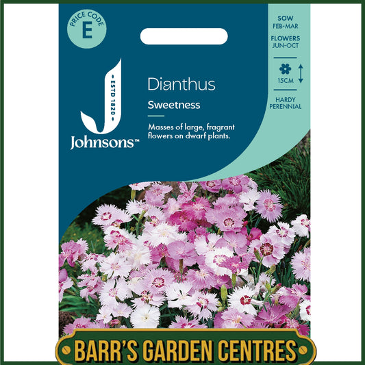 Johnsons - Dianthus Sweetness - 75 Seeds