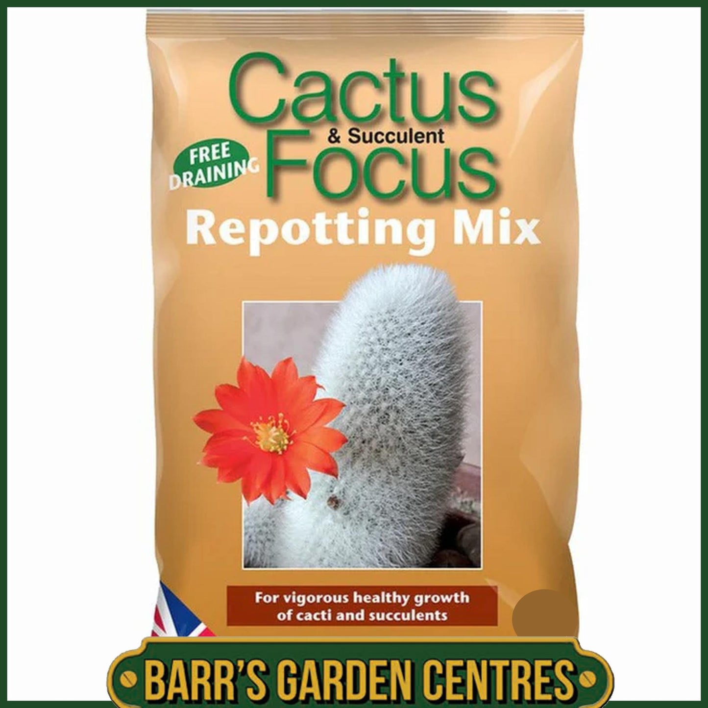 Cactus & Succulent Focus Peat-Free Repotting Mix