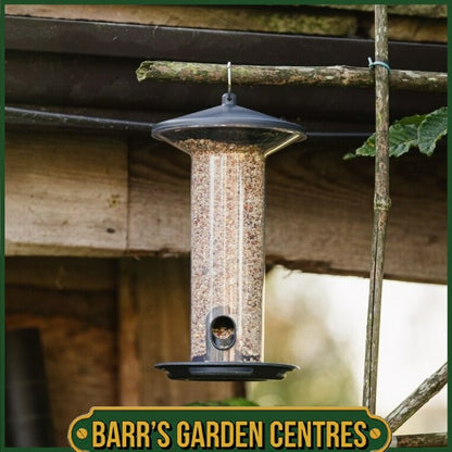 Peckish Funnel Seed Feeder