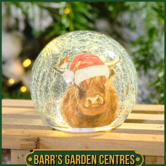 Frosted Highland Cow Crackle Ball LED