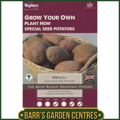 Sarpo Mira Potatoes 10 Pack