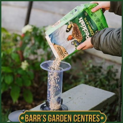 Peckish Funnel Seed Feeder