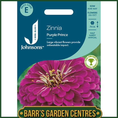 Johnsons - Zinnia Purple Prince - 100 Seeds