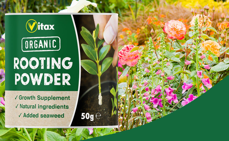 Vitax Organic Rooting Powder