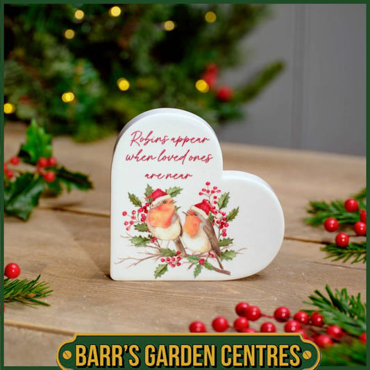 Robins Appear When Loved Ones Are Near