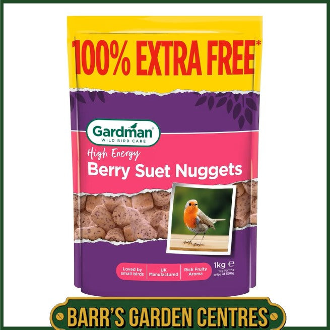 Gardman Berry Suet Nuggets 500g + 100% Extra Free
