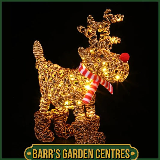 Noma Brown Wicker Rudolph 63cm