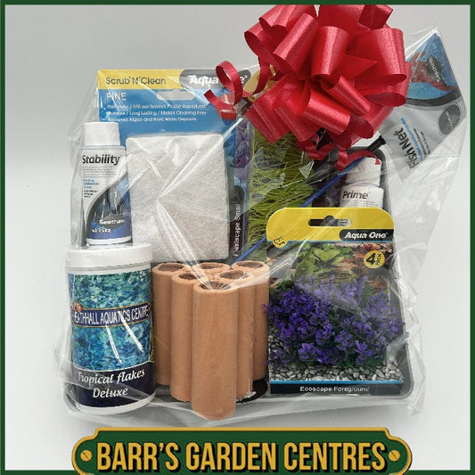 Christmas Hampers - Tropical Fish Hamper