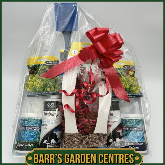 Christmas Hampers - Tropical Fish Hamper