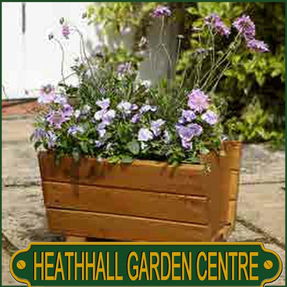 Tom Chambers Wisley Trough Planter