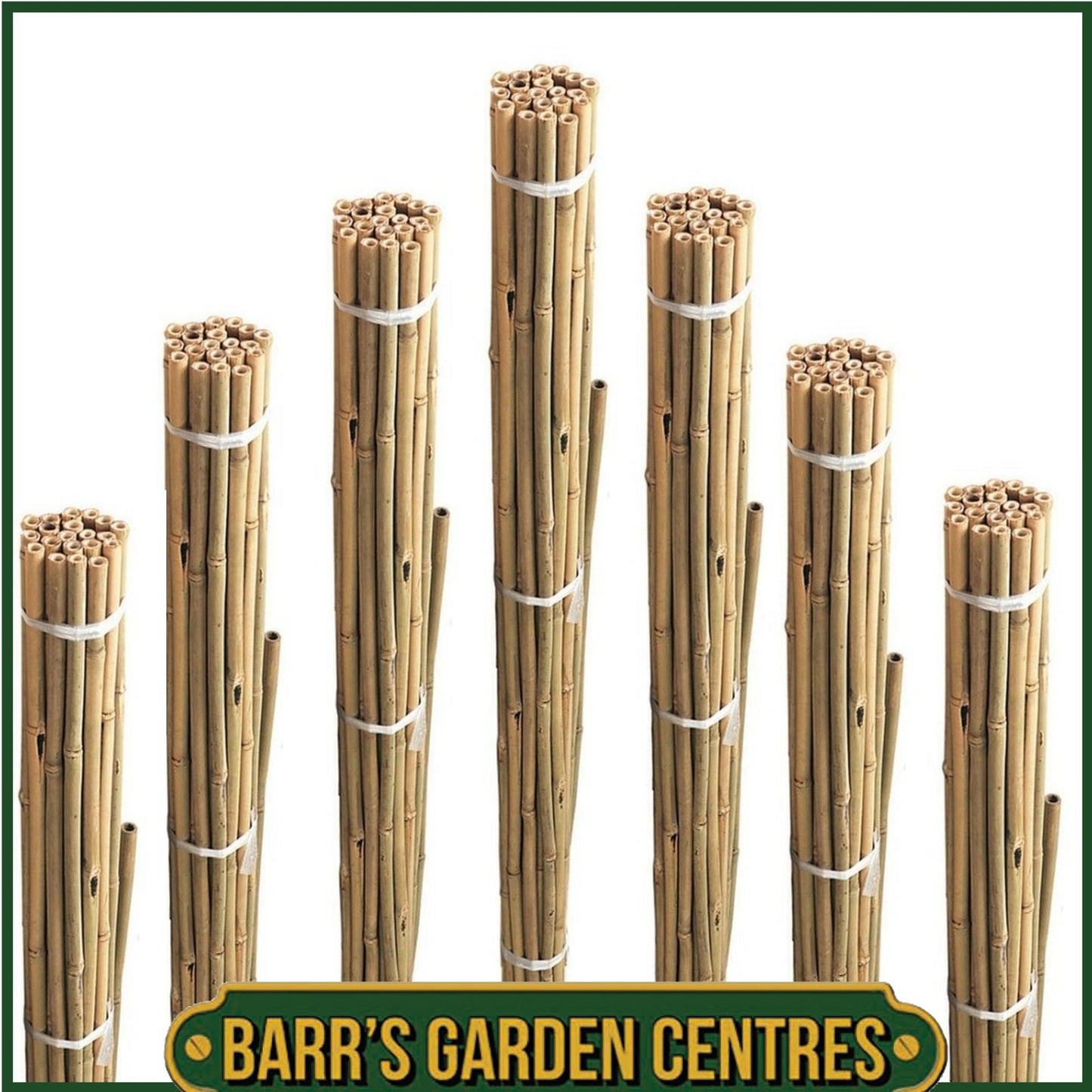 Bamboo Garden Canes - All Sizes