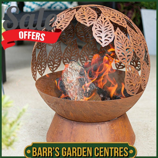 La Hacienda Leaves Fire Globe