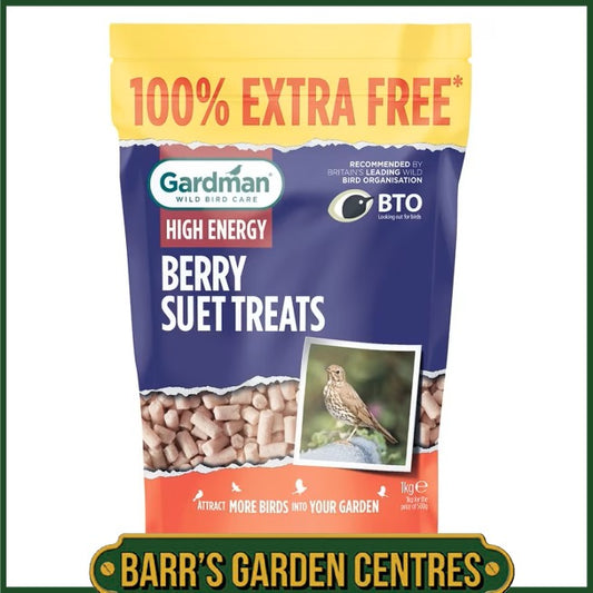Gardman Berry Suet Treats 500g + 100% Extra Free