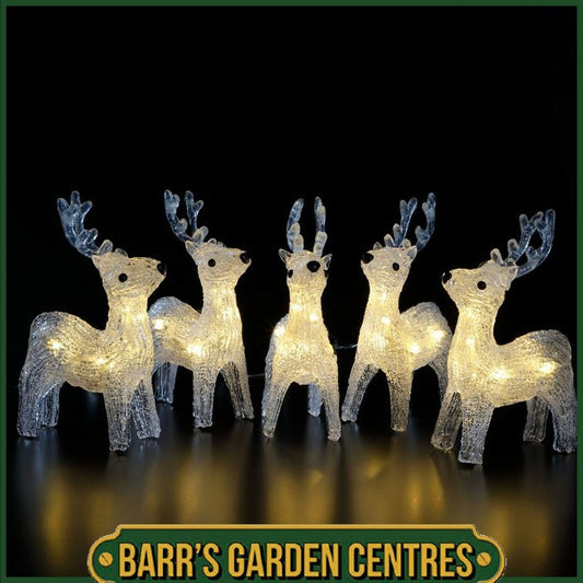 NOMA 5 Acrylic Reindeer Chain