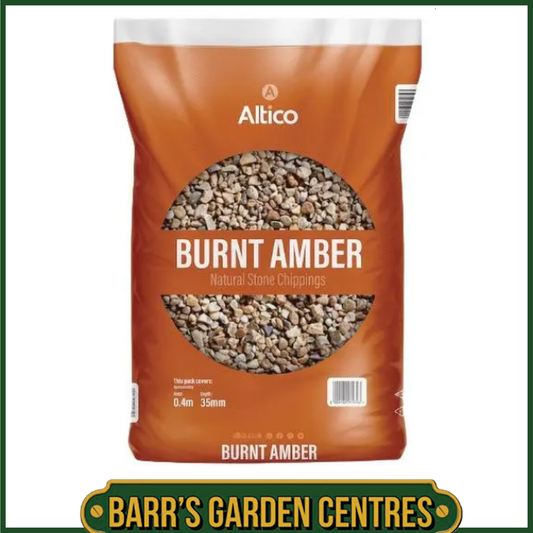 Burnt Amber