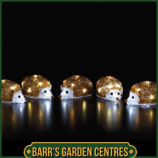 NOMA 5 Acrylic Hedgehog Festive Light Chain