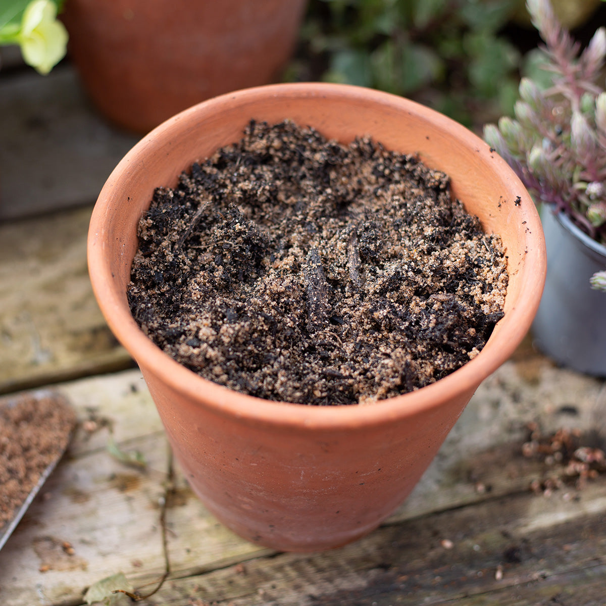 Horticultural Grit Sand