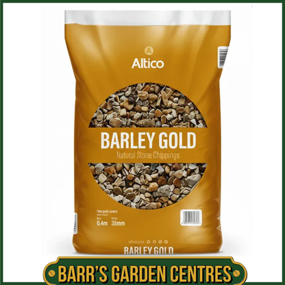 Barley Gold