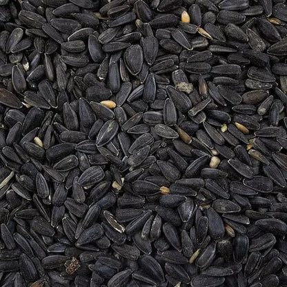 Gardman Nyjer Seed 2kg