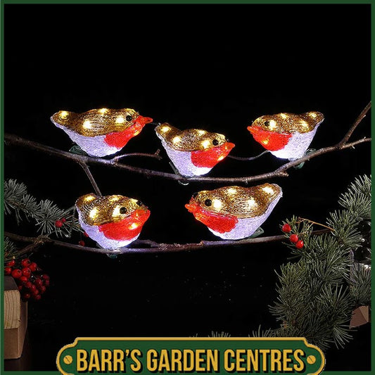NOMA Set Of 5 Acrylic Robins With Clips