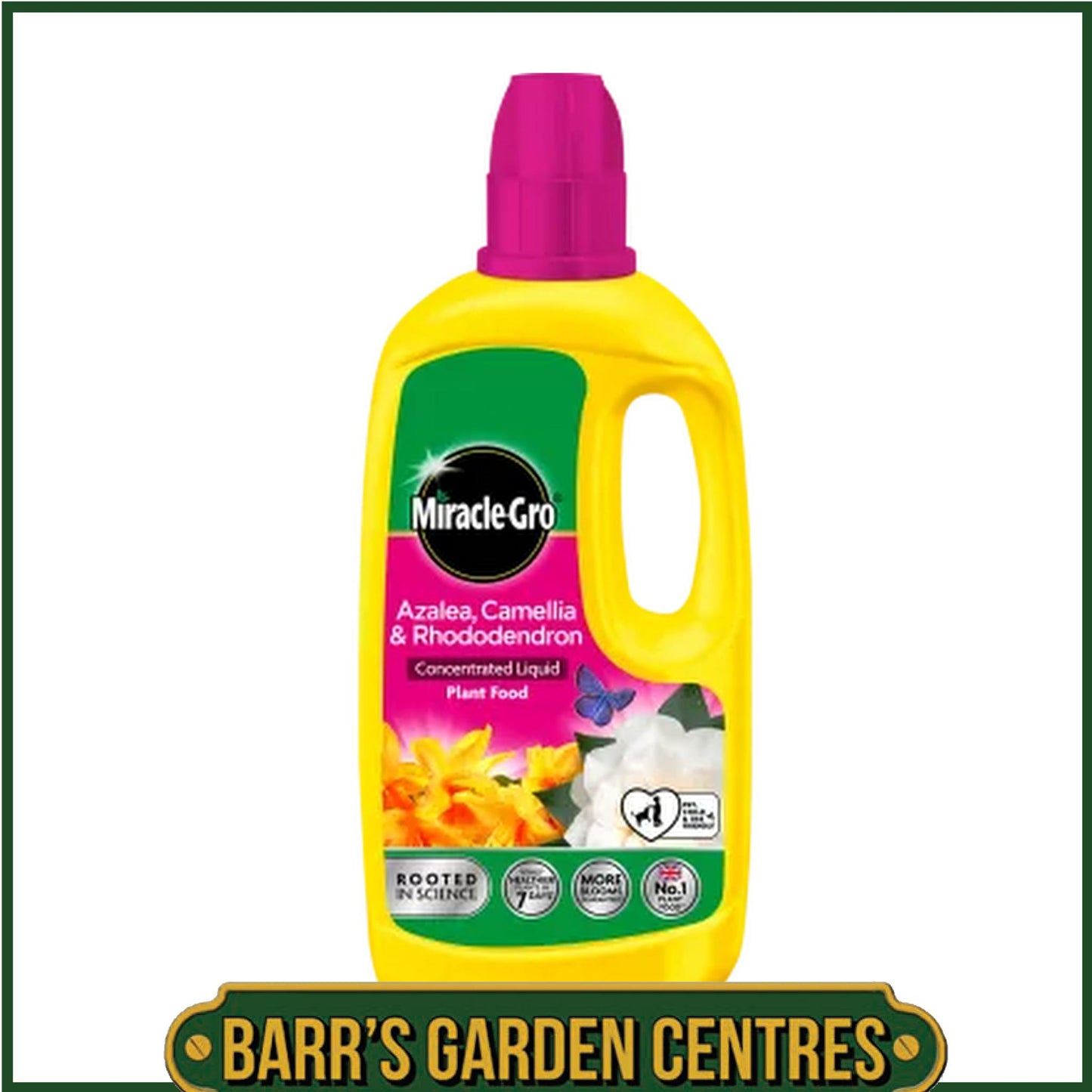 Miracle-Gro® Azalea, Camellia & Rhododendron Concentrated Liquid Plant Food 800ml