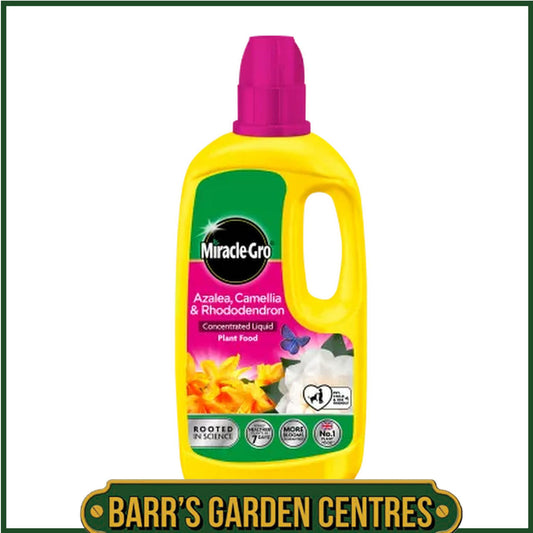 Miracle-Gro® Azalea, Camellia & Rhododendron Concentrated Liquid Plant Food 800ml