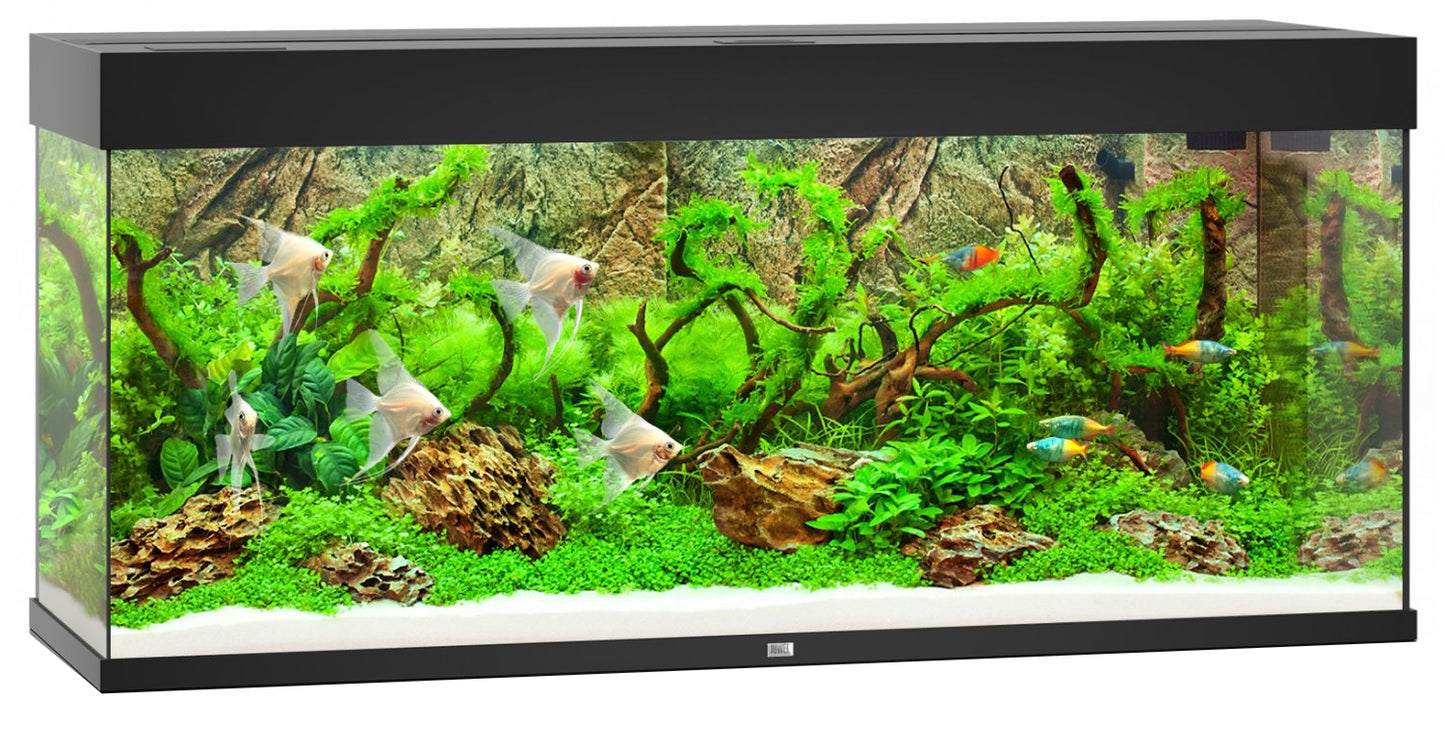 Juwel Rio 240 Aquarium