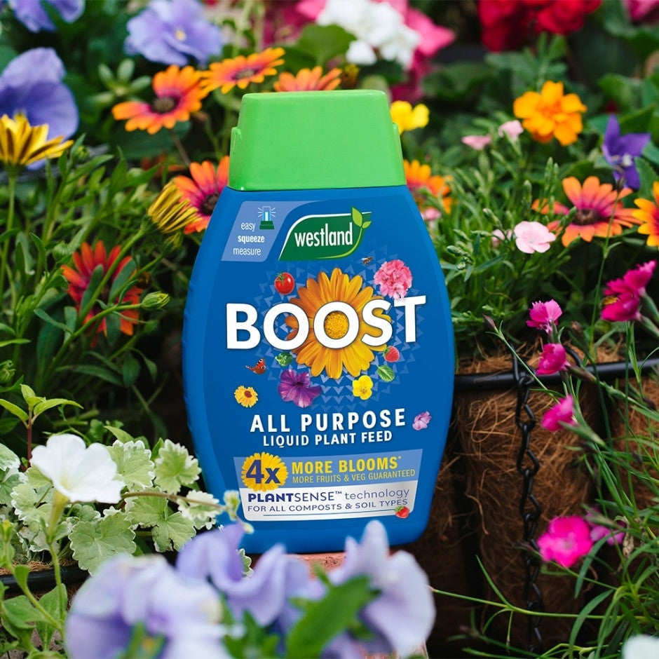 Westland Boost All Purpose Liquid Plant food 1L