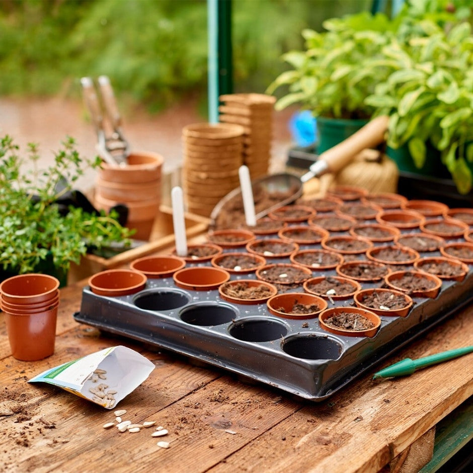 Grow It Seed and Cutting Tray with 40 Pots