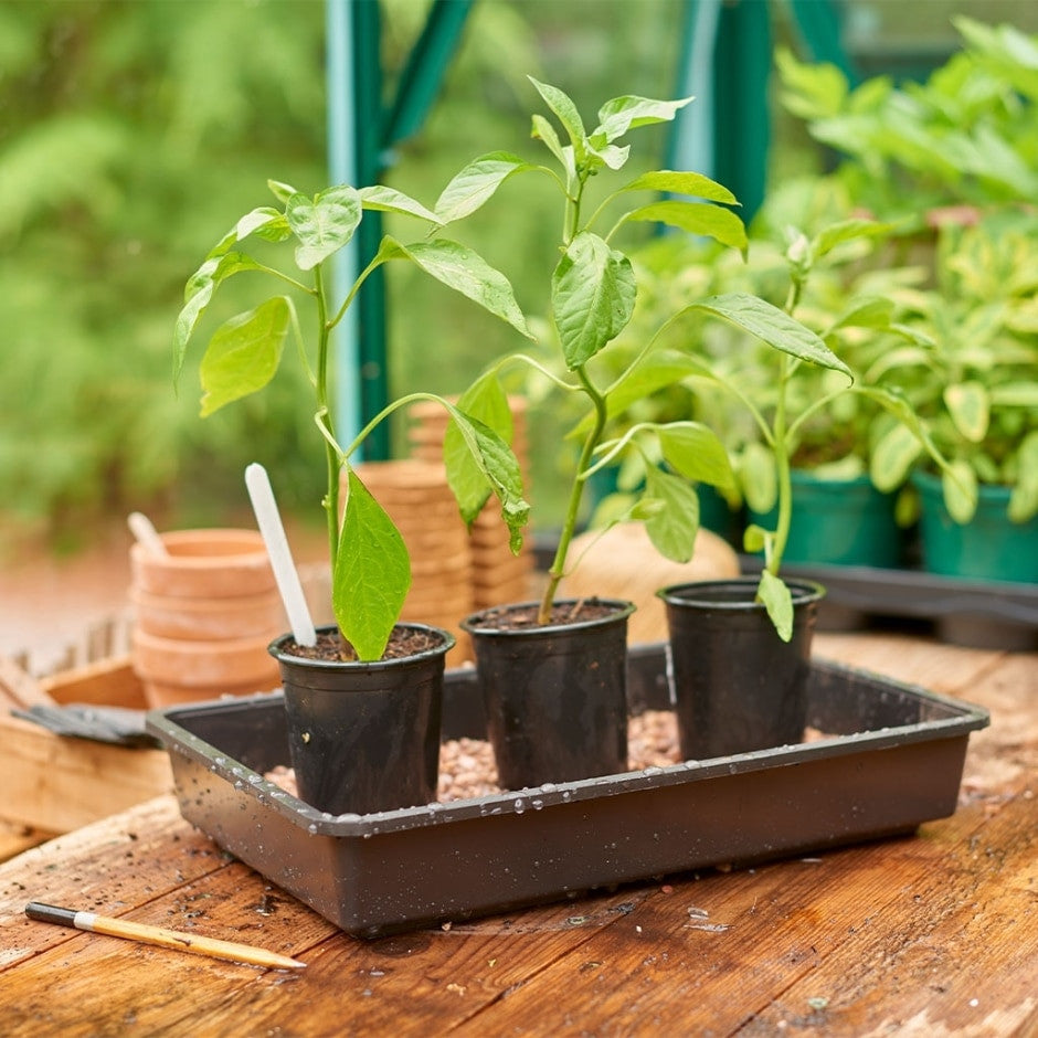 Grow It Standard Gravel Tray - Rigid