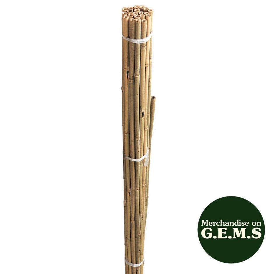 Bamboo Garden Canes - All Sizes