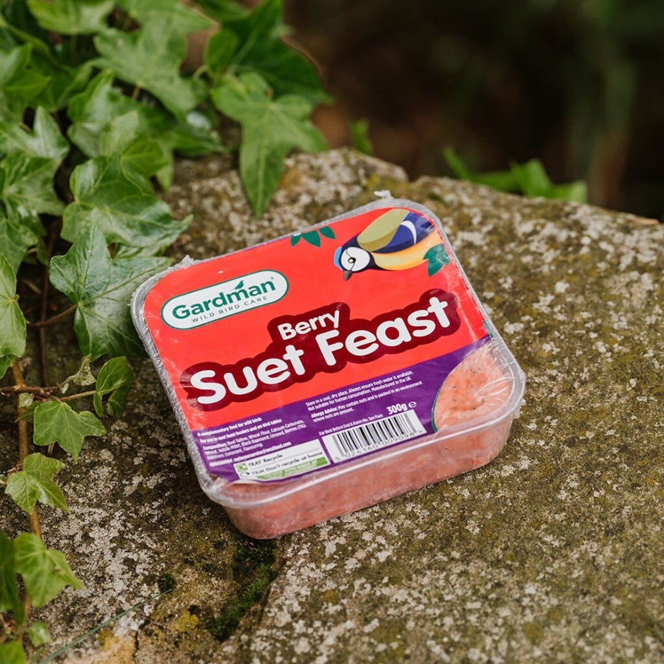 Gardman Suet Feasts 10 Pack