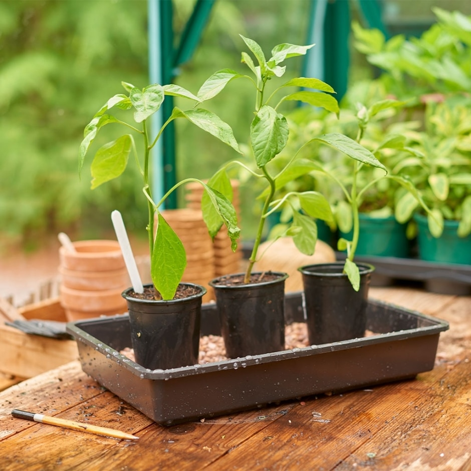 Grow It Standard Gravel Tray - Rigid