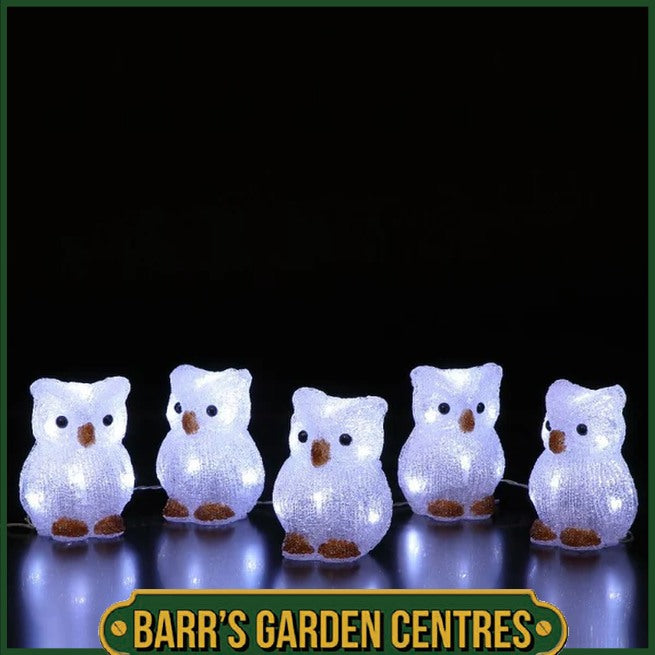 NOMA Set of 5 Acrylic Owls Light Chain