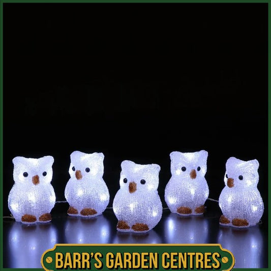 NOMA Set of 5 Acrylic Owls Light Chain