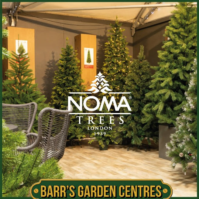 Noma 6' Wasdale Frosted Fir