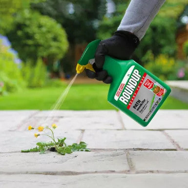 Roundup® Ready to Use Path Weedkiller 1 Litre