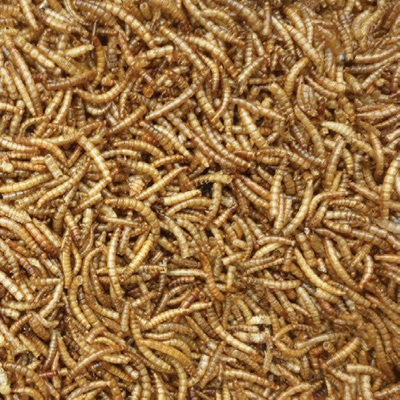 Gardman Mealworms 400g - 1.2kg