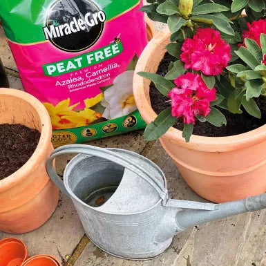 Miracle-Gro® Peat Free Premium Ericaceous