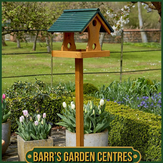 Tom Chambers Walton Bird Table