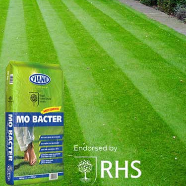 Viano MO Bacter Organic Lawn Fertiliser - 4kg