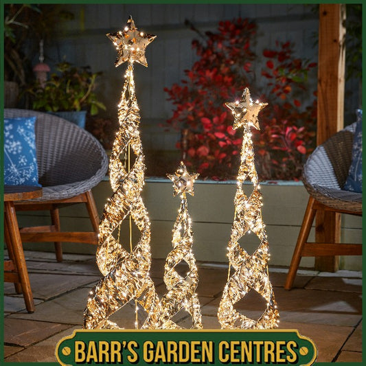 Three Kings Gold Twist Starbelisk - 60cm