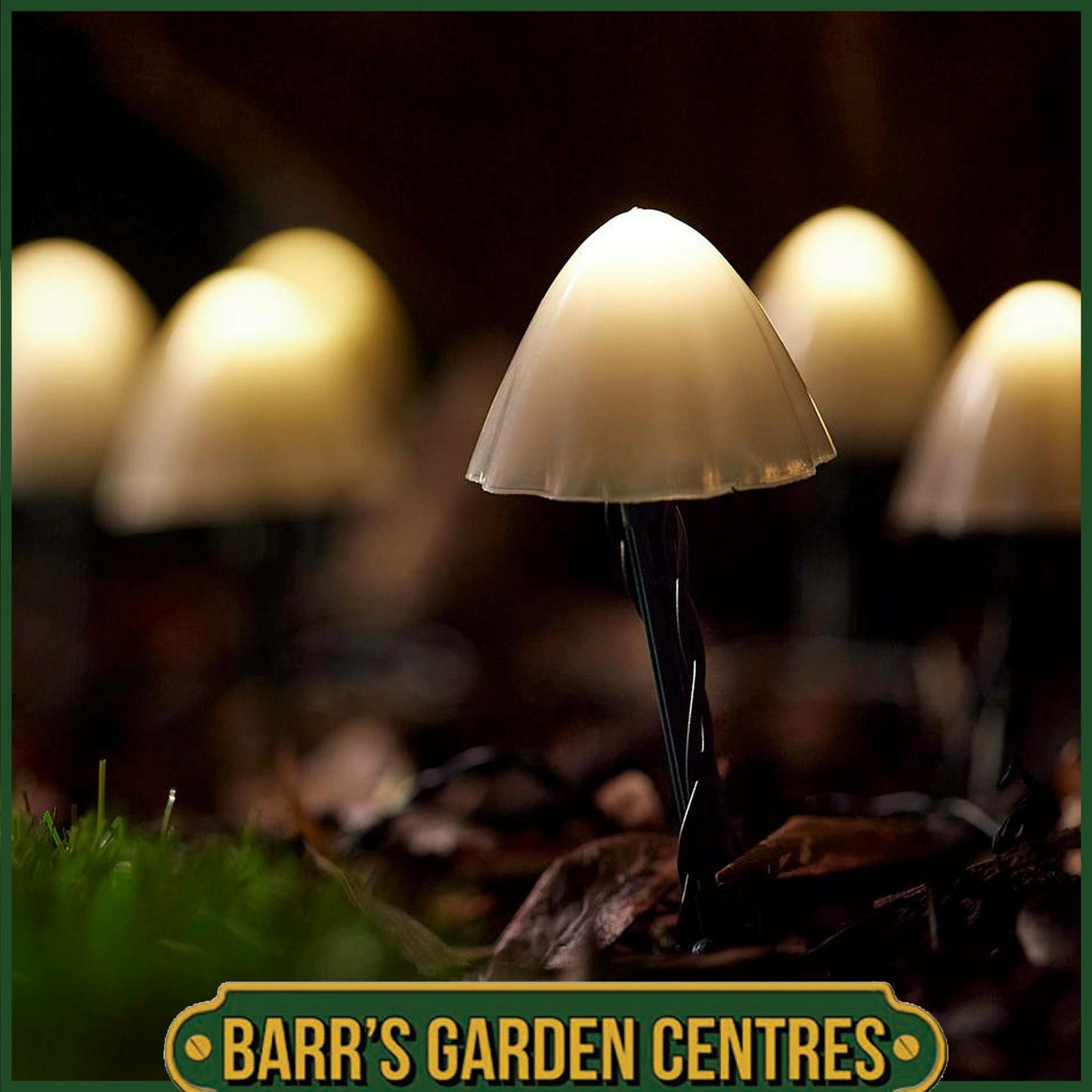 Forest Solar Mushroom Lights - Set Of 12