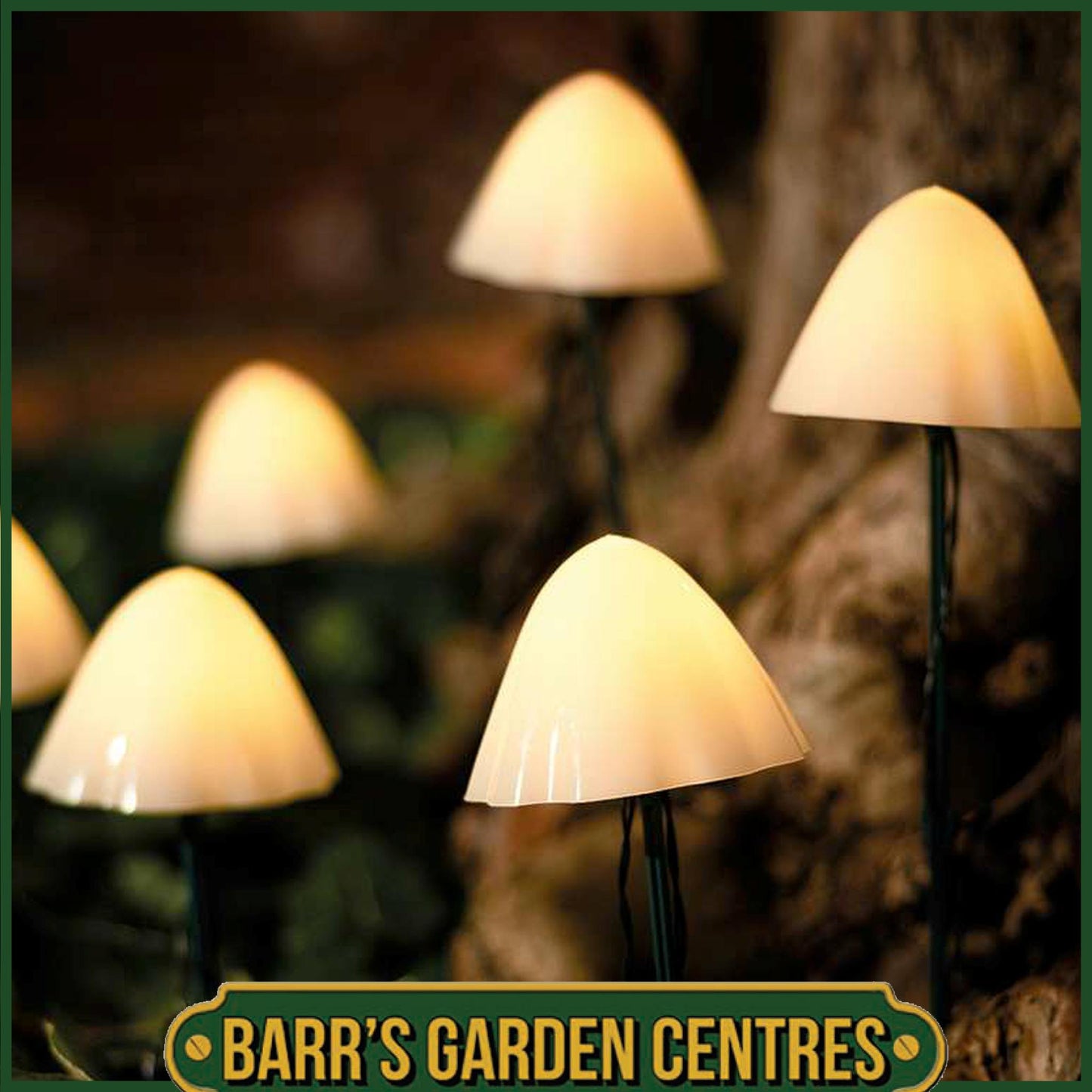 Forest XL Solar Mushroom Lights - Set of 6