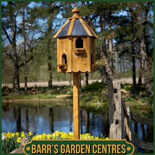 Tom Chambers Compton Dovecote Bird Table
