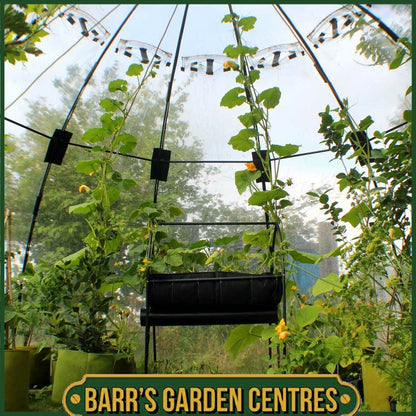 Haxnicks Garden Sunbubble Standard