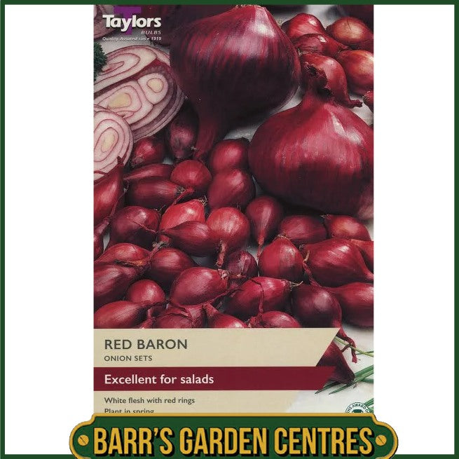 Red Barron Onion 50 Pack