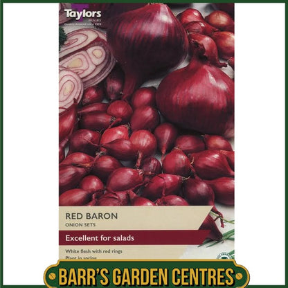 Red Barron Onion 50 Pack