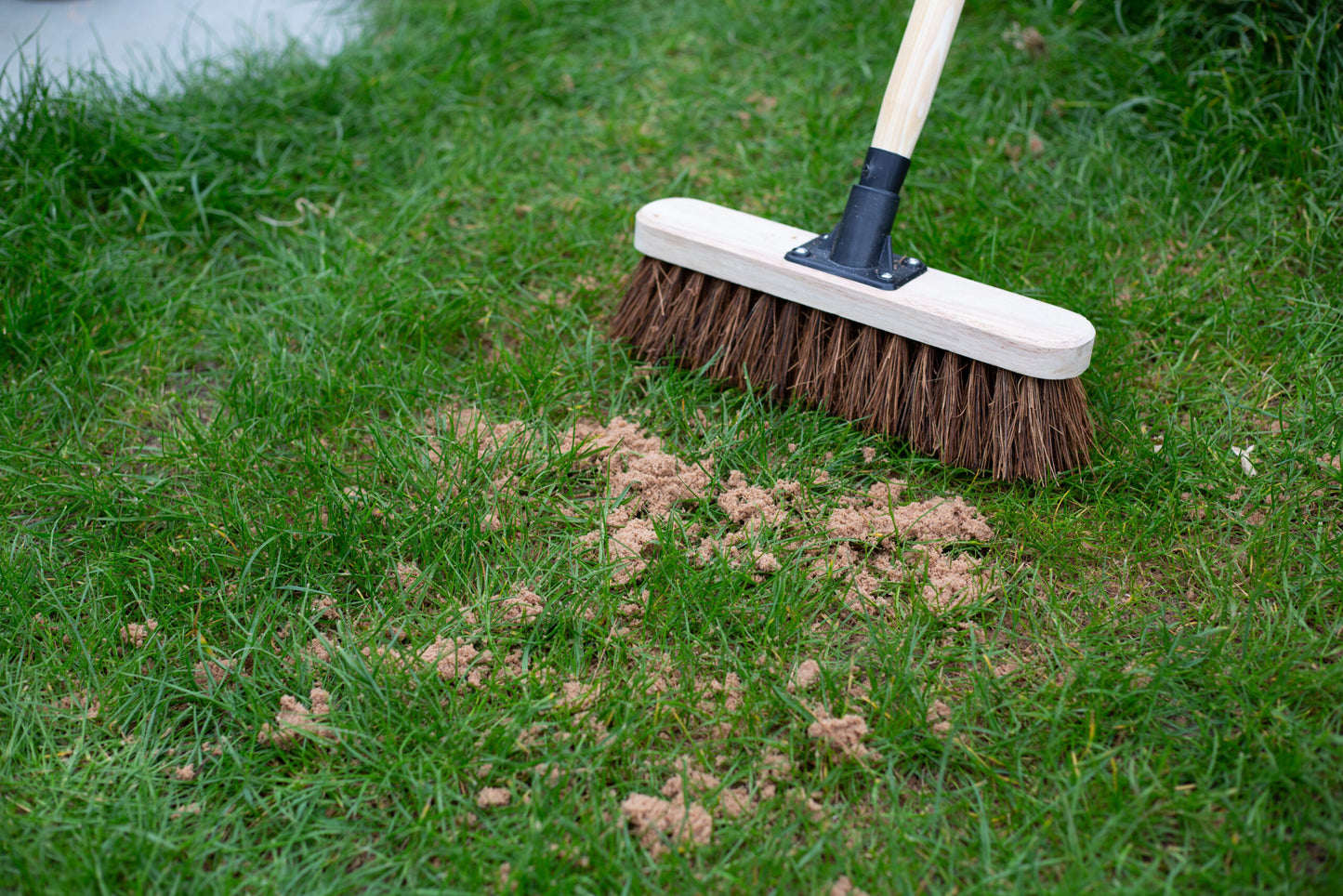 Horticultural Sharp Sand